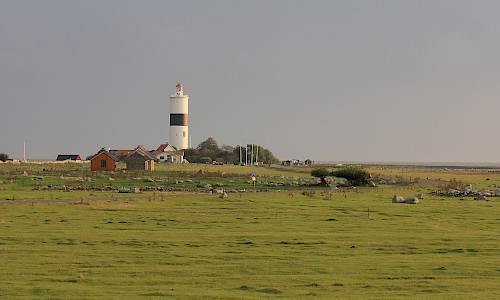 Foto: Stefan Svenaeus