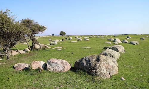 Foto: Stefan Svenaeus