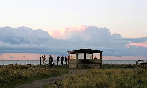 Foto: Stefan Svenaeus