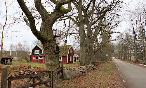 Foto: Stefan Svenaeus 2024