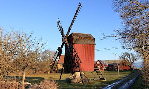 Foto: Stefan Svenaeus 2024