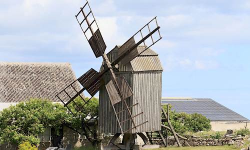 Foto: Stefan Svenaeus 2024