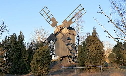 Foto: Stefan Svenaeus 2024