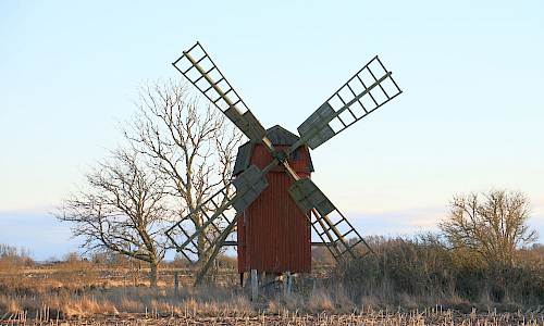 Foto: Stefan Svenaeus 2024