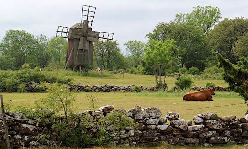 Foto: Stefan Svenaeus 2023