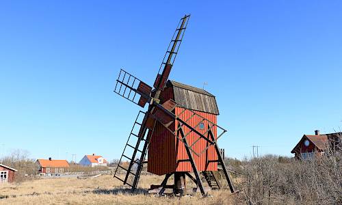 Foto: Stefan Svenaeus 2024