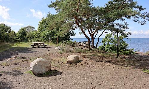 Foto: Stefan Svenaeus 2023
