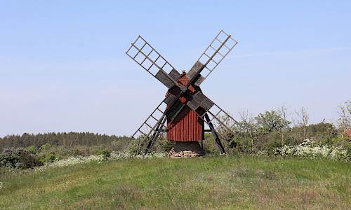 Foto: Stefan Svenaeus 2024