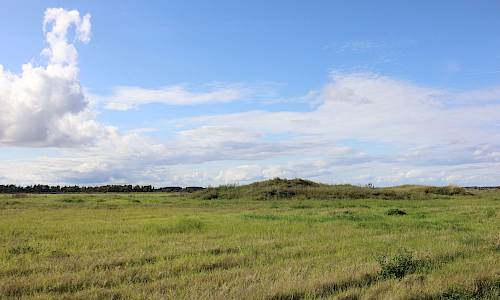Foto: Stefan Svenaeus 2023