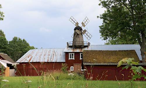 Foto: Stefan Svenaeus 2024
