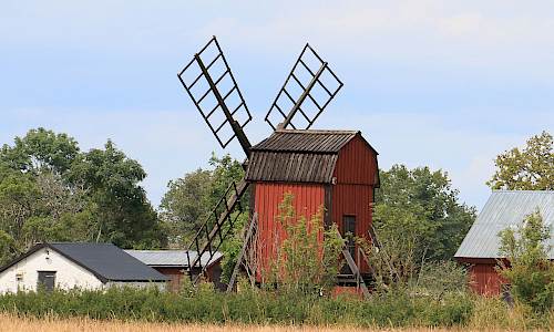 Foto: Stefan Svenaeus 2024
