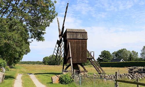 Foto: Stefan Svenaeus 2024