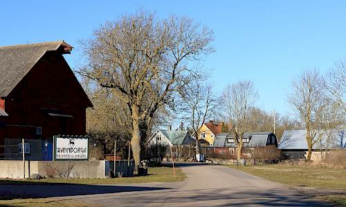 Foto: Stefan Svenaeus 2024