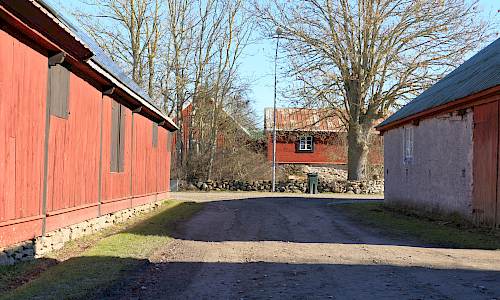 Foto: Stefan Svenaeus 2024