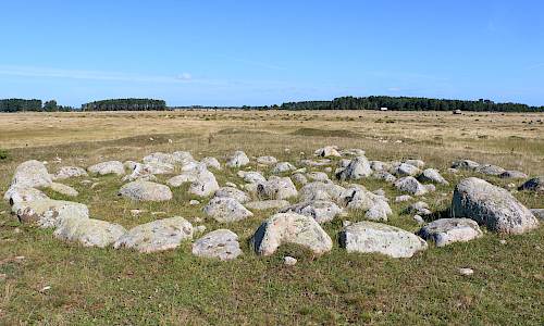 Foto: Stefan Svenaeus 2024