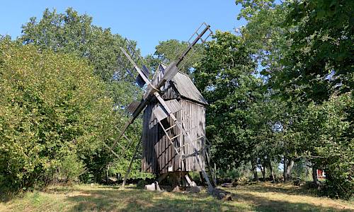 Foto: Stefan Svenaeus 2024