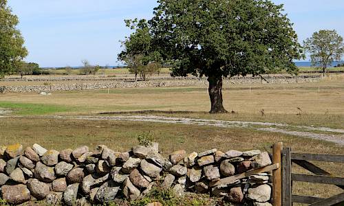 Foto: Stefan Svenaeus 2019