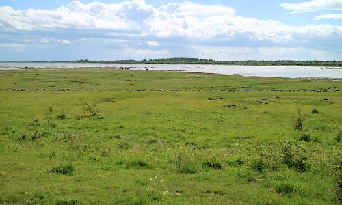 Södra viken Foto: Stefan Svenaeus 2017
