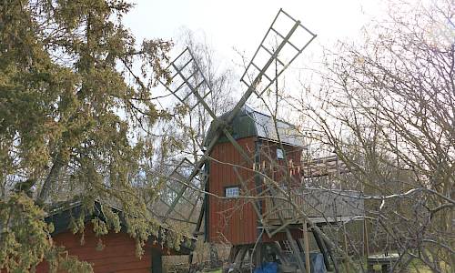 Foto: Stefan Svenaeus 2025