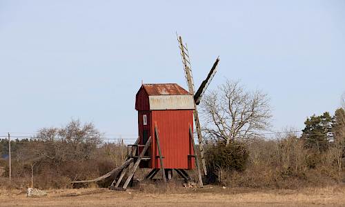 Foto: Stefan Svenaeus 2025