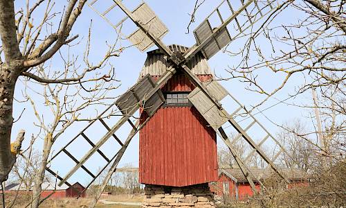 Foto: Stefan Svenaeus 2025