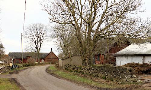 Foto: Stefan Svenaeus 2024