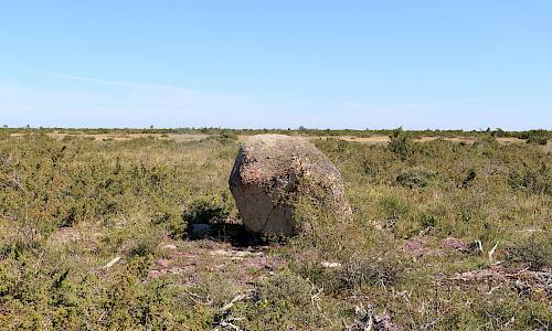 Foto: Stefan Svenaeus 2025