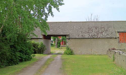 Foto: Stefan Svenaeus 2023