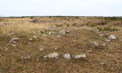 Foto: Stefan Svenaeus 2025