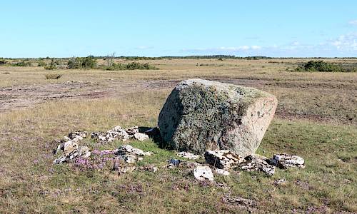 Foto: Stefan Svenaeus 2025