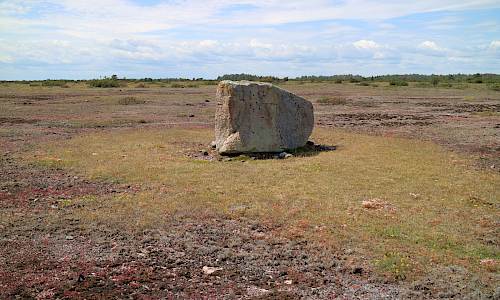 Foto: Stefan Svenaeus 2019