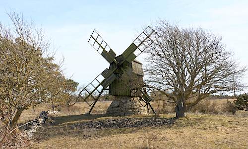 Foto: Stefan Svenaeus 2025