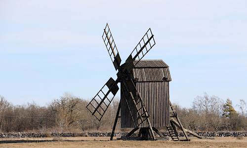 Foto: Stefan Svenaeus 2025