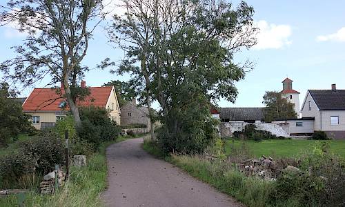 Foto: Stefan Svenaeus 2024