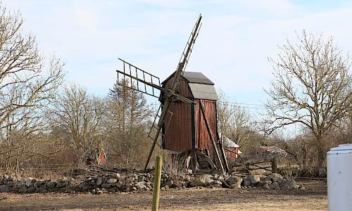 Foto: Stefan Svenaeus 2025