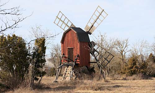 Foto: Stefan Svenaeus 2025