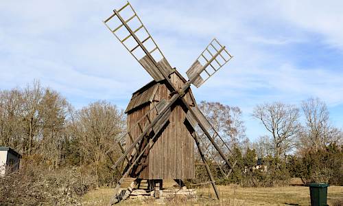 Foto: Stefan Svenaeus 2025