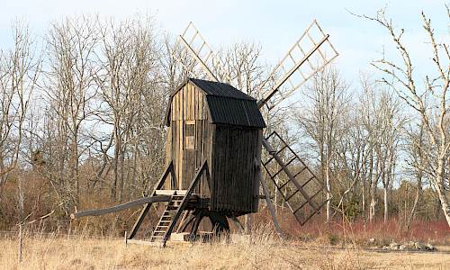 Foto: Stefan Svenaeus 2025
