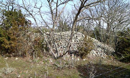 Foto: Stefan Svenaeus 2020