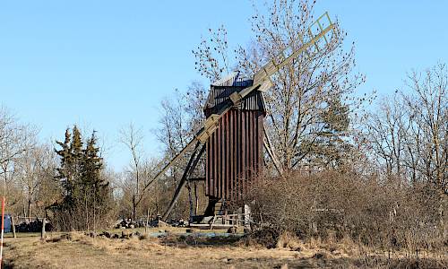 Foto: Stefan Svenaeus 2024
