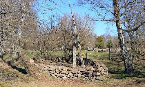 Foto: Stefan Svenaeus 2026