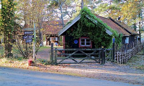 Foto: Stefan Svenaeus