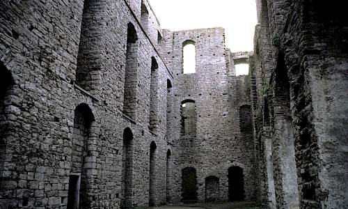 Foto: Stefan Svenaeus