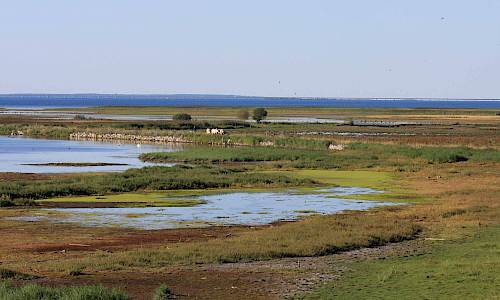 Foto: Stefan Svenaeus