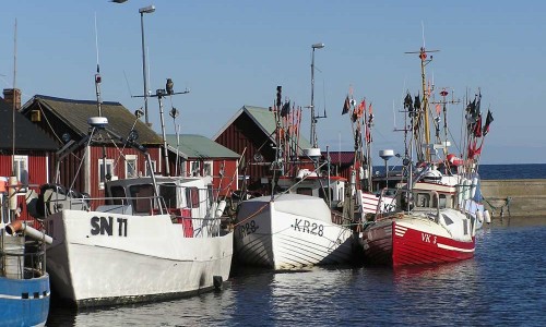 Foto: Stefan Svenaeus 2005