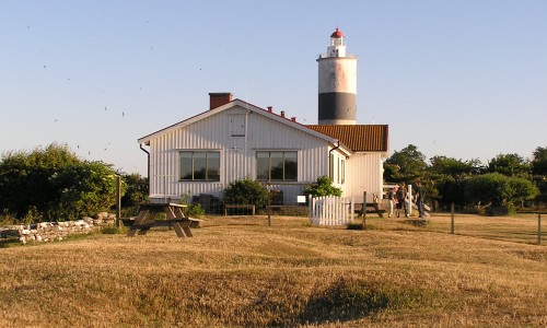 Foto: Stefan Svenaeus
