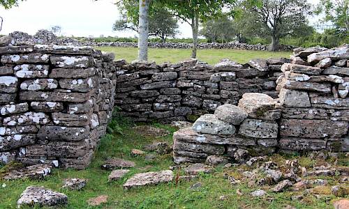 Foto: Stefan Svenaeus 2013