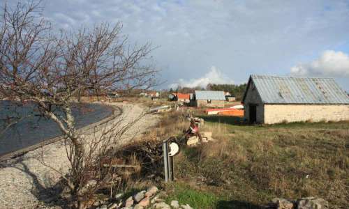 Foto: Stefan Svenaeus