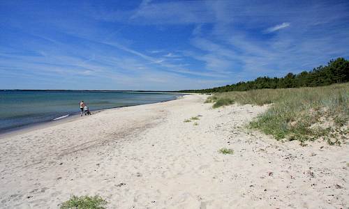 Foto: Stefan Svenaeus 2014