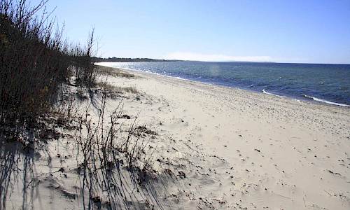 Foto: Stefan Svenaeus